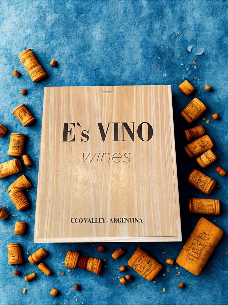 E's VINO de Anfora Histeria White, Gualtallary 2021 (3x75cl) (Caisse de 3 bouteilles)