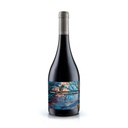 Estampa Inspiration Nebbiolo Marchigüe-Valle de Colchagua 2021 (6x75cl) (Carton de 6 bouteilles)